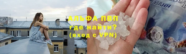 сатива Березники