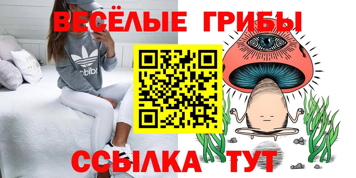 А ПВП Череповец