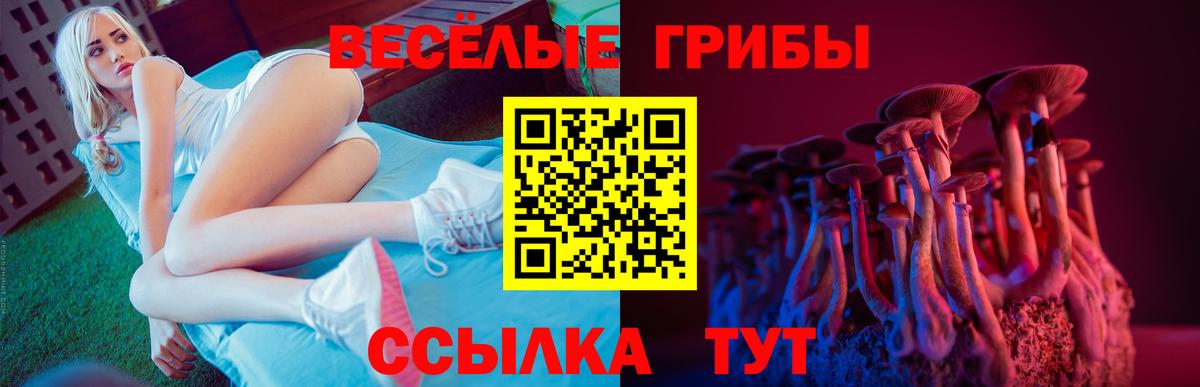Череповец  Псилоцибиновые грибы GOLDEN TEACHER  что такое   Вход с VPN 